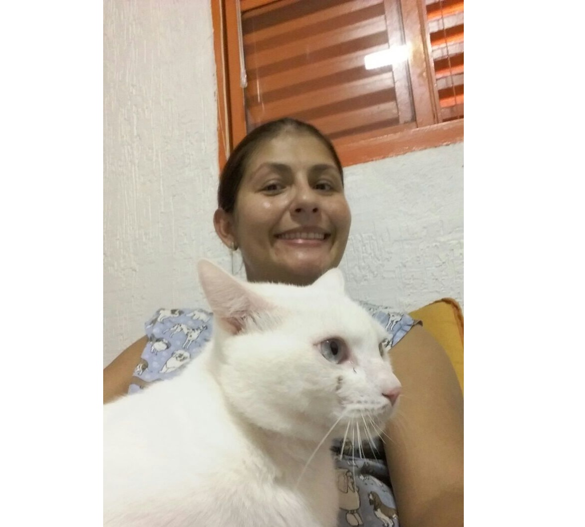Consulta veterinária com gato