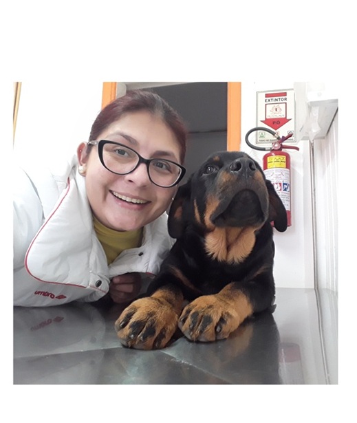 Vacinação de filhote de cachorro