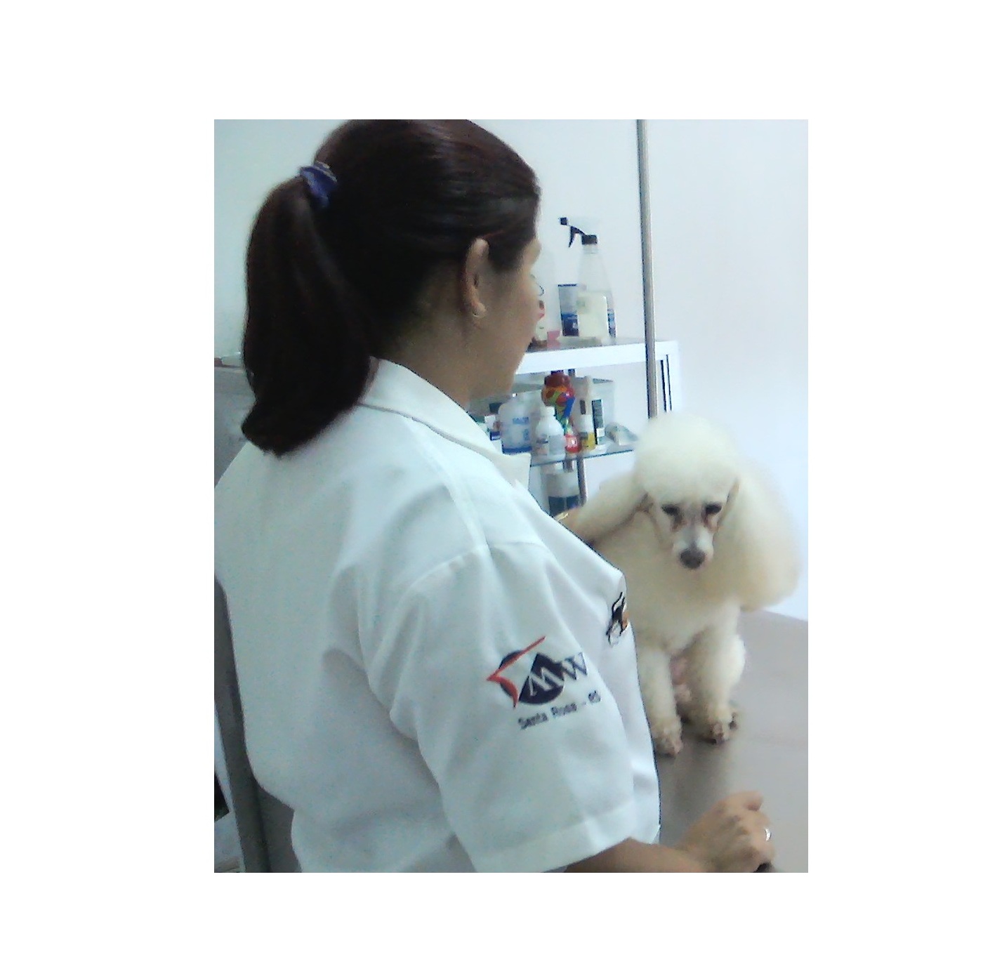 Consulta veterinária domiciliar de rotina